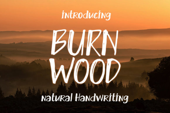 Introducing Burn Wood: A Quirky Display Font for Creative Campaigns